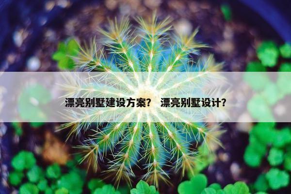 漂亮别墅建设方案？ 漂亮别墅设计？