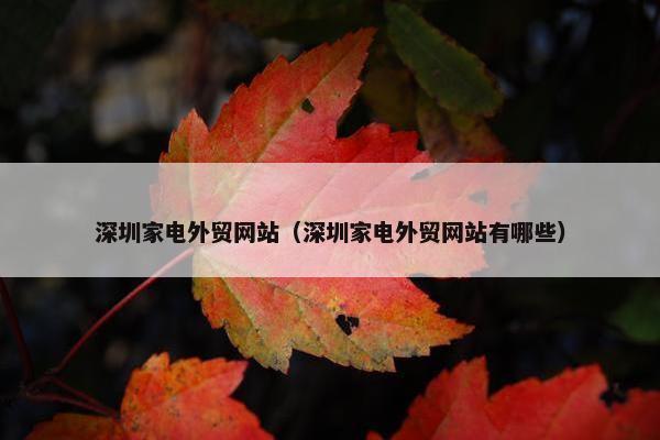 深圳家电外贸网站（深圳家电外贸网站有哪些）