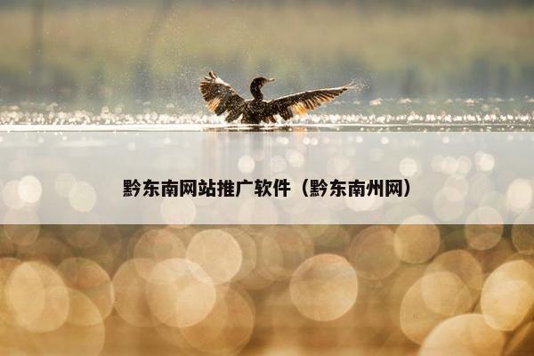 黔东南网站推广软件（黔东南州网）