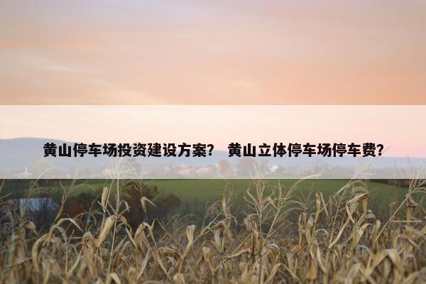黄山停车场投资建设方案？ 黄山立体停车场停车费？