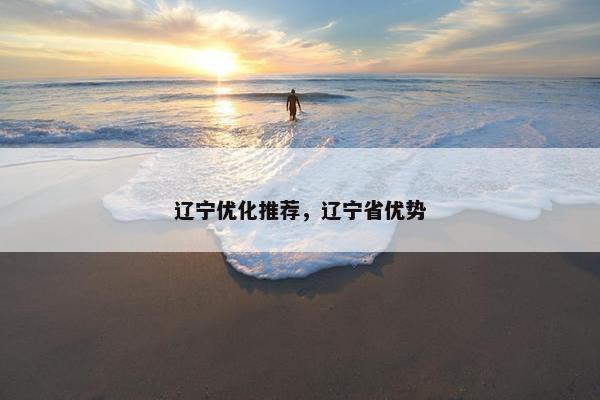 辽宁优化推荐，辽宁省优势