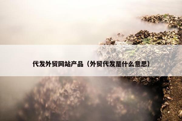 代发外贸网站产品（外贸代发是什么意思）
