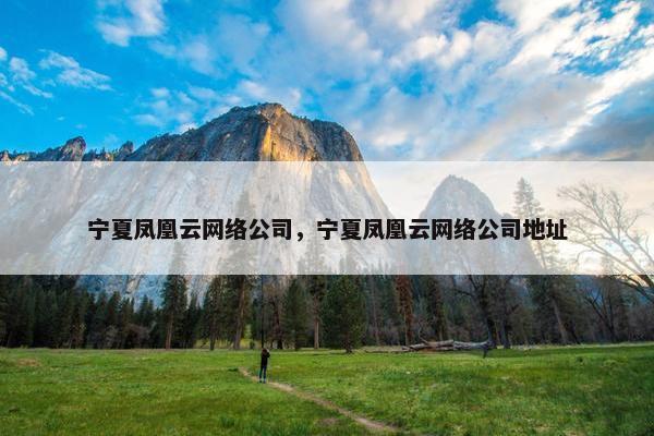宁夏凤凰云网络公司，宁夏凤凰云网络公司地址
