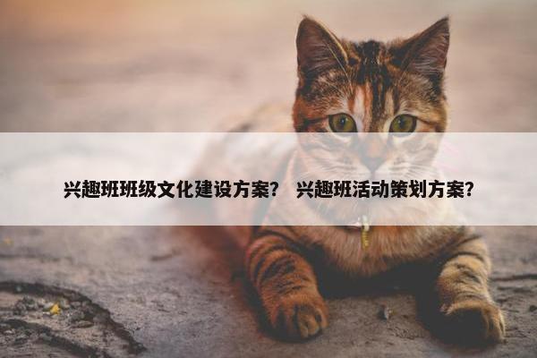 兴趣班班级文化建设方案？ 兴趣班活动策划方案？
