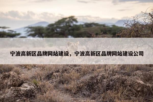 宁波高新区品牌网站建设，宁波高新区品牌网站建设公司