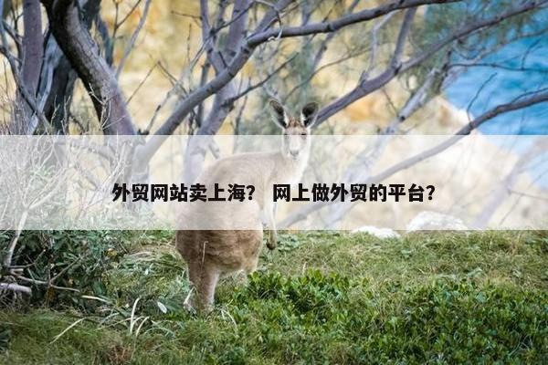 外贸网站卖上海？ 网上做外贸的平台？