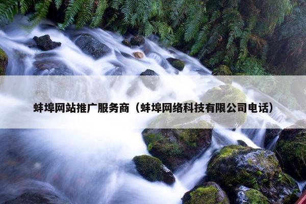 蚌埠网站推广服务商（蚌埠网络科技有限公司电话）