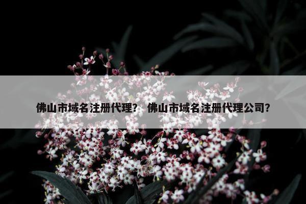 佛山市域名注册代理？ 佛山市域名注册代理公司？