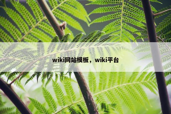 wiki网站模板，wiki平台