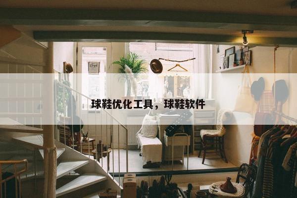 球鞋优化工具，球鞋软件