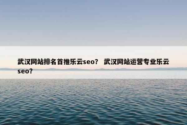 武汉网站排名首推乐云seo？ 武汉网站运营专业乐云seo？