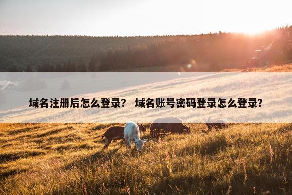 域名注册后怎么登录？ 域名账号密码登录怎么登录？