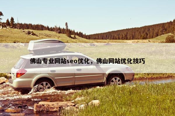 佛山专业网站seo优化，佛山网站优化技巧