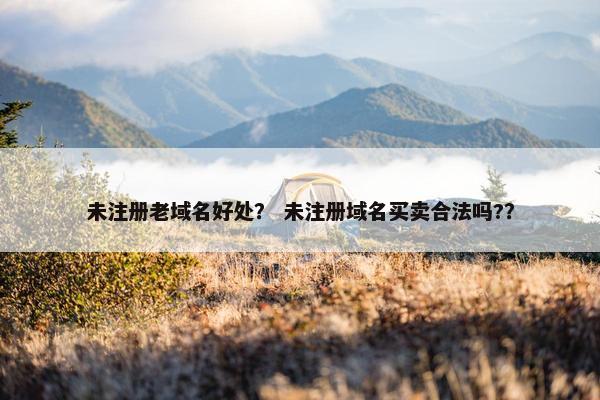 未注册老域名好处？ 未注册域名买卖合法吗?？