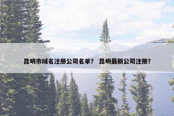 昆明市域名注册公司名单？ 昆明最新公司注册？
