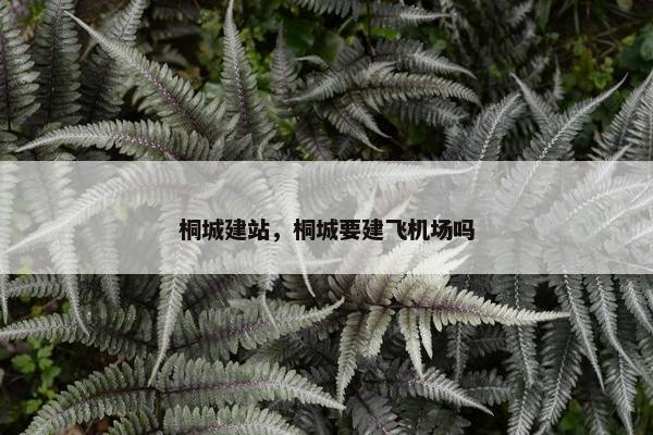 桐城建站，桐城要建飞机场吗