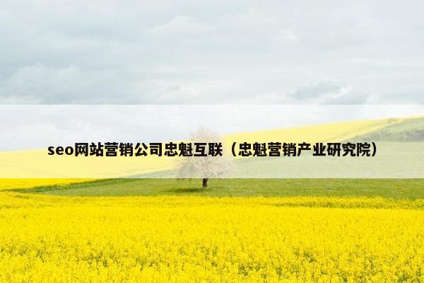 seo网站营销公司忠魁互联（忠魁营销产业研究院）