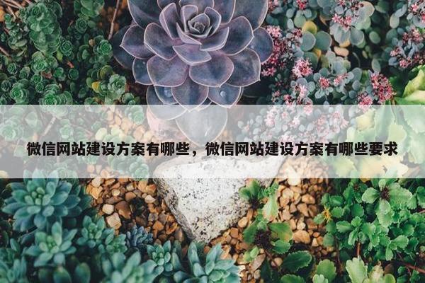 微信网站建设方案有哪些，微信网站建设方案有哪些要求