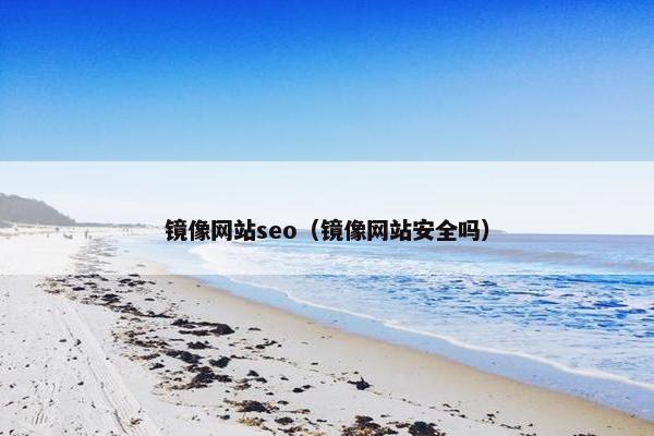 镜像网站seo（镜像网站安全吗）