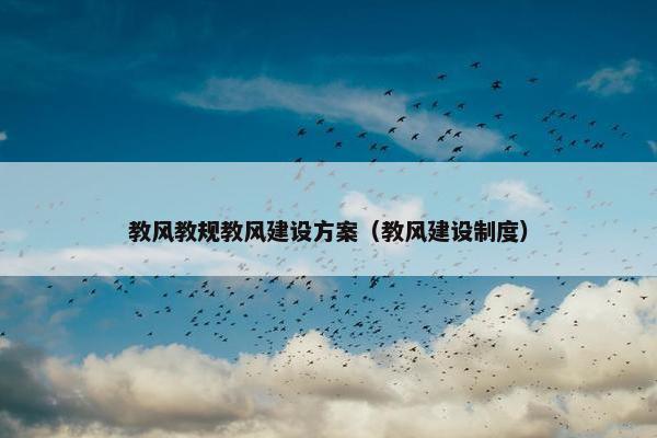 教风教规教风建设方案（教风建设制度）