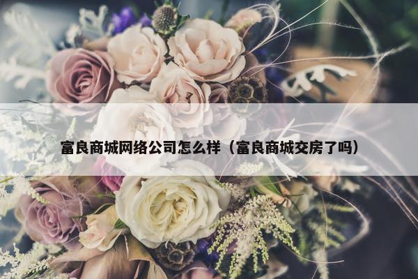富良商城网络公司怎么样（富良商城交房了吗）