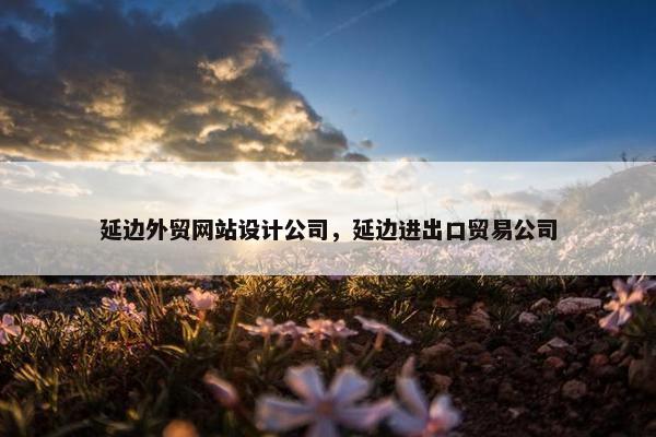 延边外贸网站设计公司，延边进出口贸易公司