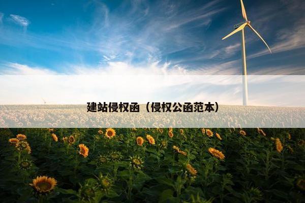 建站侵权函（侵权公函范本）