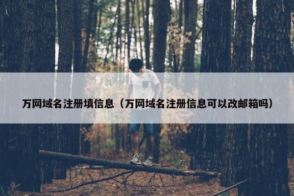 万网域名注册填信息（万网域名注册信息可以改邮箱吗）