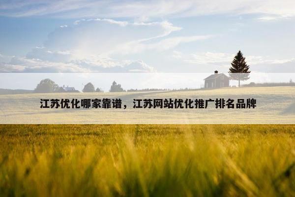 江苏优化哪家靠谱，江苏网站优化推广排名品牌