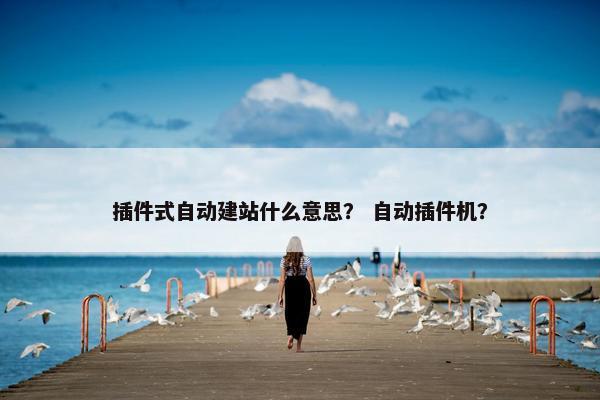 插件式自动建站什么意思？ 自动插件机？