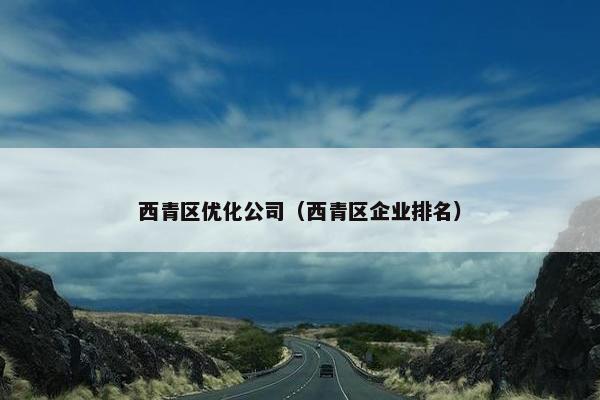 西青区优化公司（西青区企业排名）