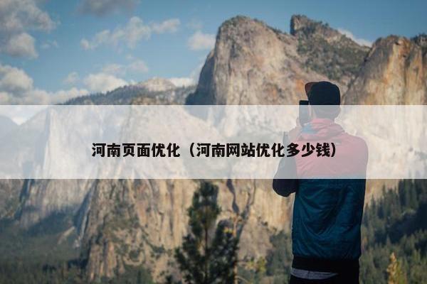 河南页面优化（河南网站优化多少钱）