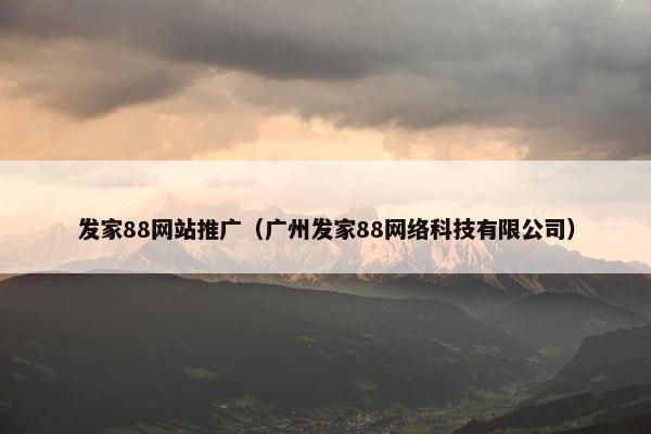 发家88网站推广（广州发家88网络科技有限公司）