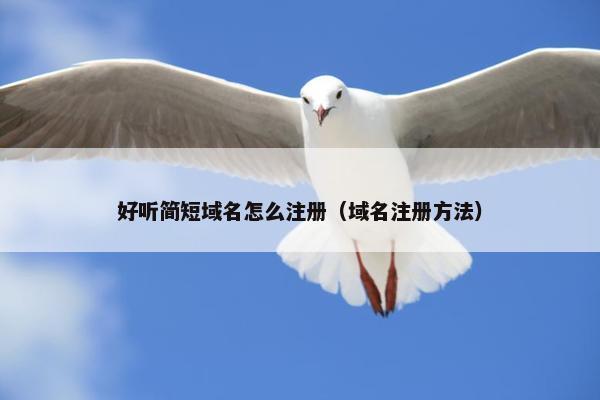 好听简短域名怎么注册（域名注册方法）