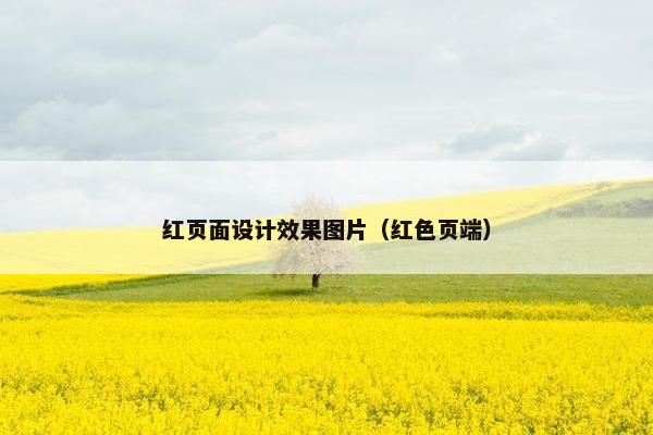 红页面设计效果图片（红色页端）