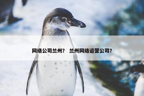 网络公司兰州？ 兰州网络运营公司？