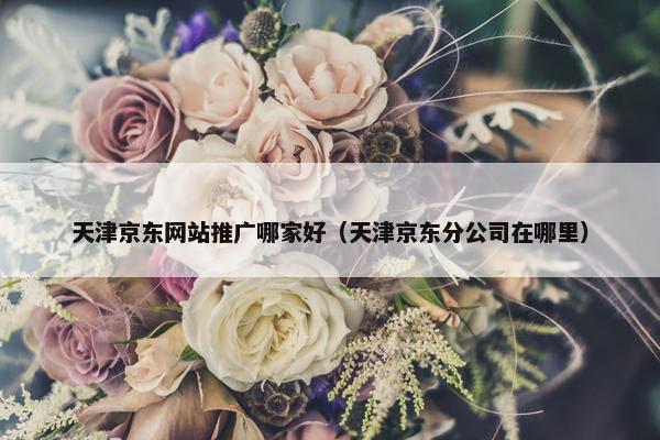 天津京东网站推广哪家好（天津京东分公司在哪里）