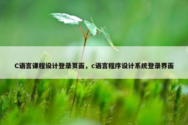 C语言课程设计登录页面，c语言程序设计系统登录界面