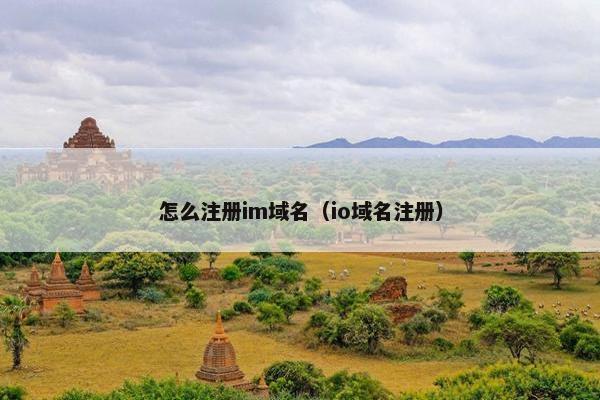 怎么注册im域名（io域名注册）