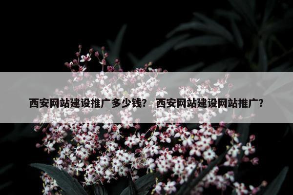 西安网站建设推广多少钱？ 西安网站建设网站推广？