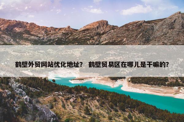鹤壁外贸网站优化地址？ 鹤壁贸易区在哪儿是干嘛的？