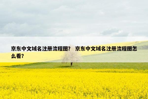 京东中文域名注册流程图？ 京东中文域名注册流程图怎么看？