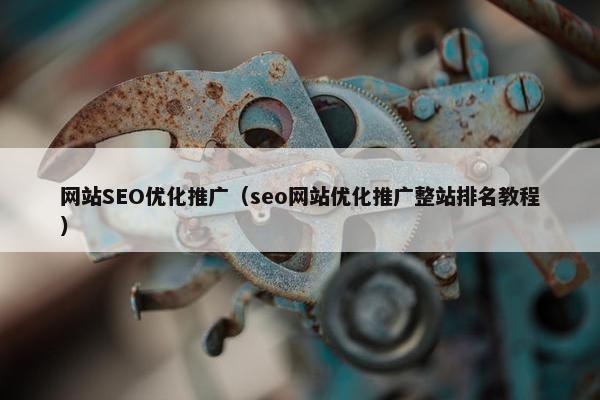网站SEO优化推广（seo网站优化推广整站排名教程）