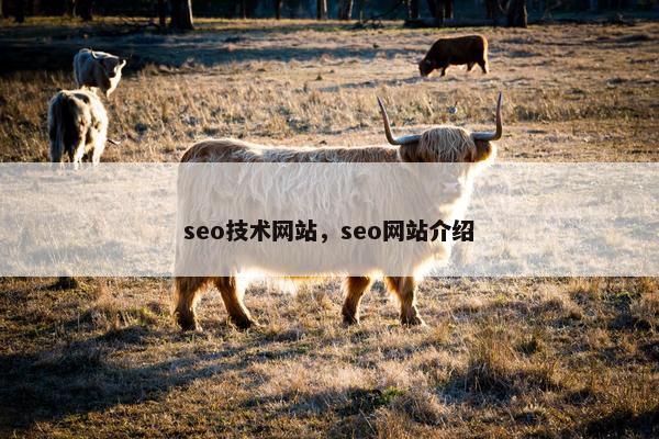 seo技术网站，seo网站介绍