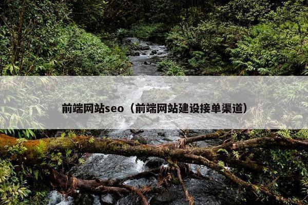 前端网站seo（前端网站建设接单渠道）