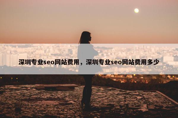 深圳专业seo网站费用，深圳专业seo网站费用多少