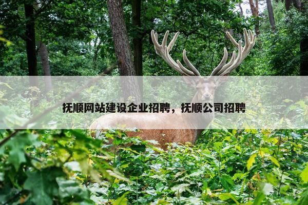 抚顺网站建设企业招聘，抚顺公司招聘