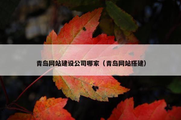 青岛网站建设公司哪家（青岛网站搭建）