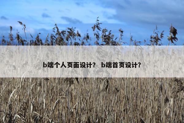 b端个人页面设计？ b端首页设计？
