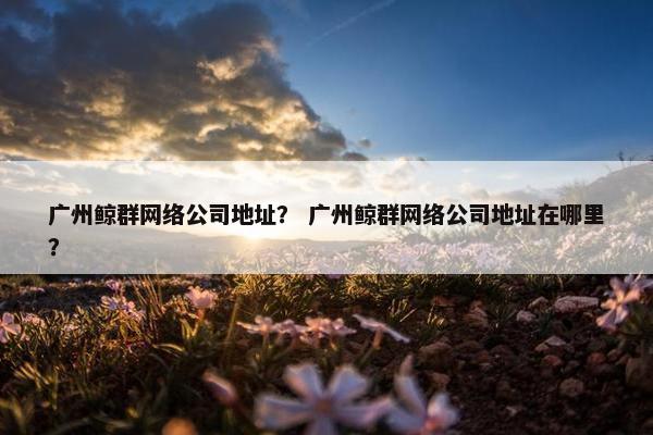 广州鲸群网络公司地址？ 广州鲸群网络公司地址在哪里？